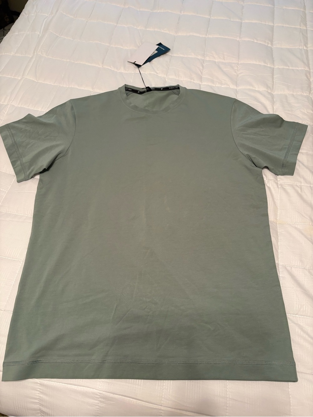 Men's Crew Neck T-Shirt in Sage Green